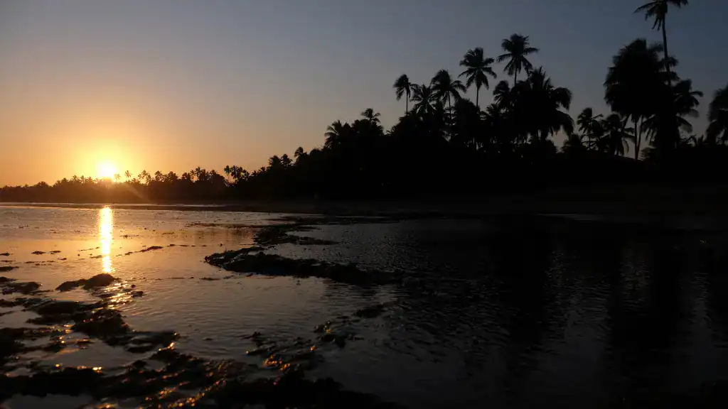 Praia do Forte - Bahia