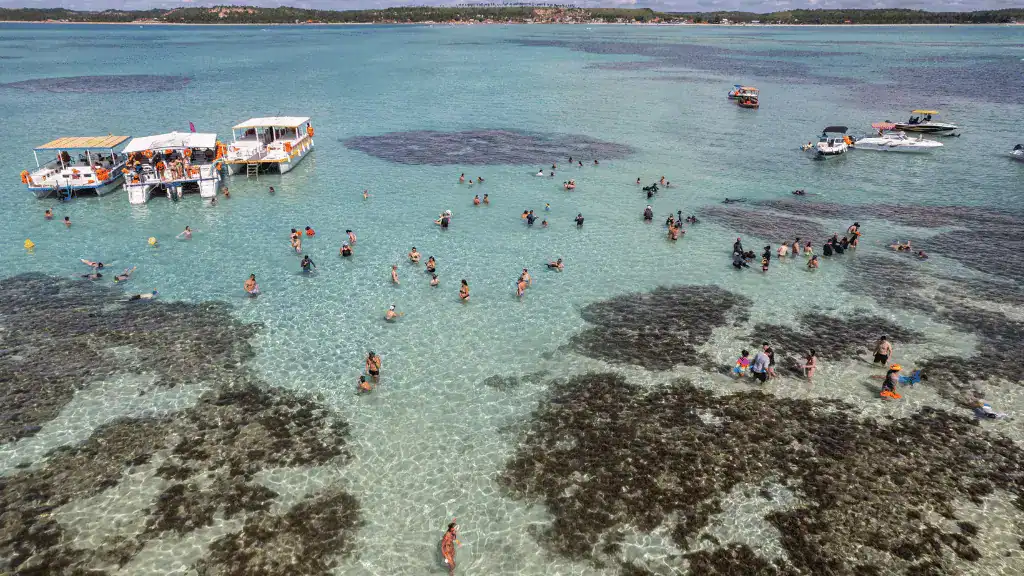 Galés de Maragogi