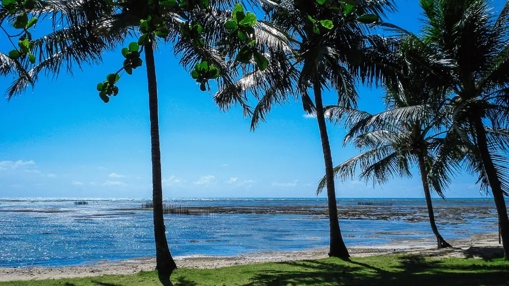 Praia de Ponta de Mangue em Maragogi
