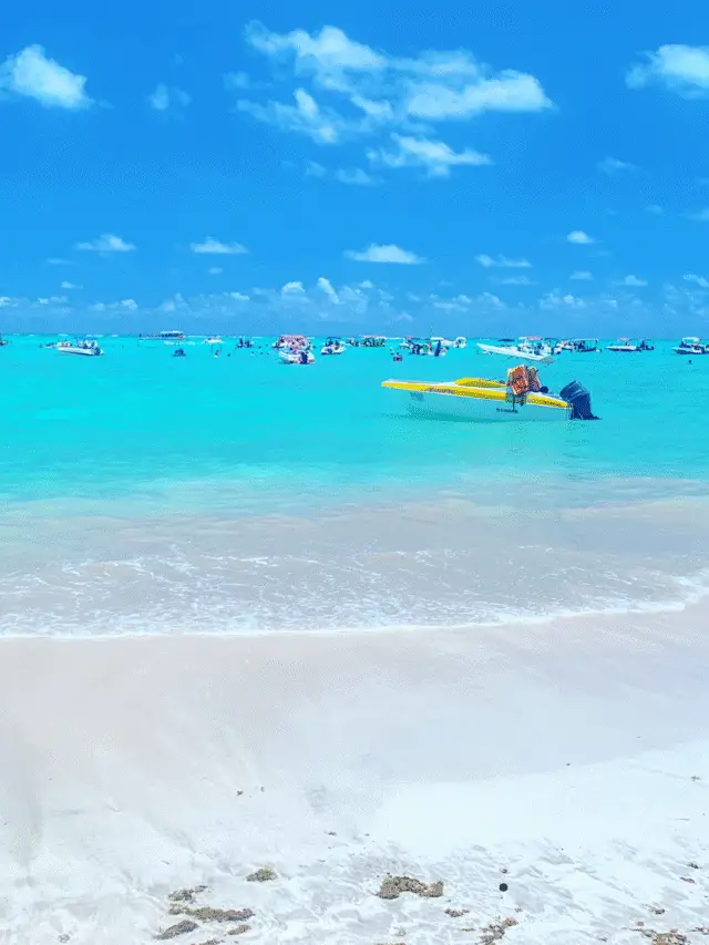 Praia de Ponta de Mangue: Tranquilidade, Mar Azul e Natureza Preservada